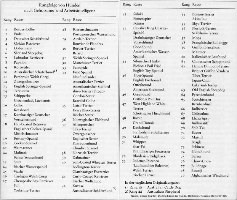 Intelligenz der Hunde
